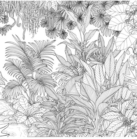 rainforest plants and flowers coloring pages